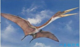 风神翼龙最新爆料视频,揭秘神秘生物的进化之谜