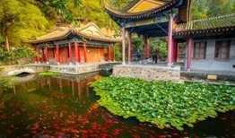 苏州景点爆料事件最新,揭秘隐藏的绝美角落与不为人知的秘密