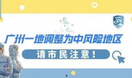 广州市爆料新闻事件最新,神秘事件引发社会关注，真相即将揭晓
