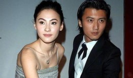 张柏芝的最新爆料,娱乐圈背后的惊人真相