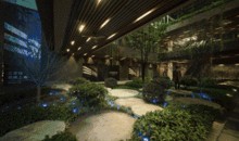 平湖最新爆料事件,揭秘事件背后惊人真相