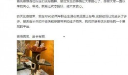 大爆料事件最新消息,揭秘背后惊人真相，舆论风暴再起