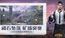 和平精英最新爆料家园,和平精英揭秘神秘家园生成机制