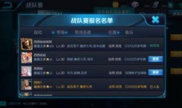 最新战队爆料消息大全图片,揭秘神秘图片背后的秘密与真相