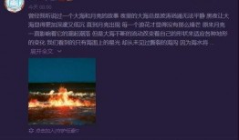 最新爆料任豪事件视频在线观看,揭秘背后真相与争议