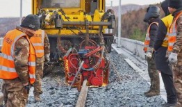 七台河最新爆料,揭秘神秘事件背后的真相