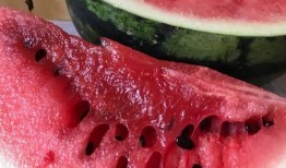 稷山最新瓜爆料,揭秘最新瓜种背后的故事