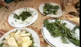 稷山最新瓜爆料,揭秘最新瓜种背后的故事