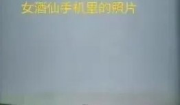 刘女士最新爆料,揭秘娱乐圈惊人内幕！