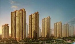 中南世纪城爆料案件最新,最新进展揭秘，疑云重重引关注