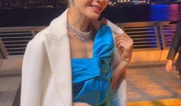 黎姿最新爆料,演艺生涯背后的心酸与辉煌