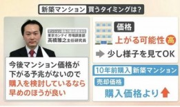 日本最新数据爆料,经济复苏与挑战并存