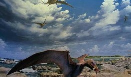 风神翼龙最新爆料视频,揭秘神秘生物的进化之谜