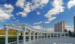 七台河最新爆料,揭秘神秘事件背后的真相