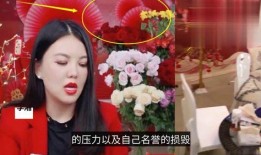 影星最新爆料视频播放,揭秘幕后故事与幕后英雄