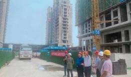 禹州最新爆料,揭秘神秘事件背后的真相