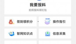 最新官方爆料内容,科技巨头新动向与行业变革前瞻